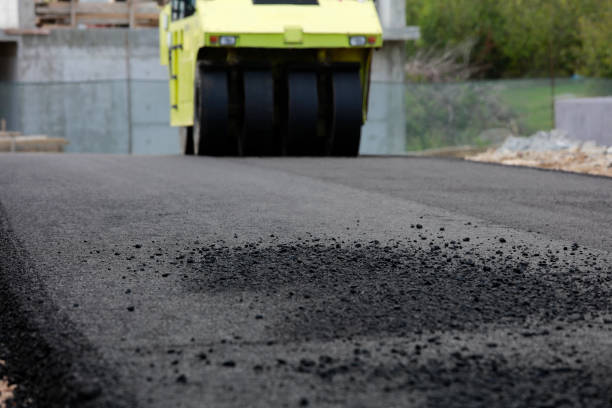 Best Residential Driveway Paver Services  in Romulus, MI